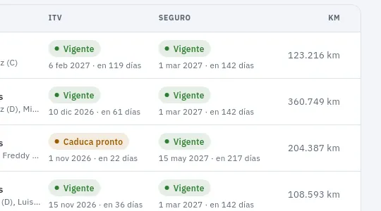 Vehículos visto por taller y flota, sin «Ver ingresos»: no sale el neto del mes.